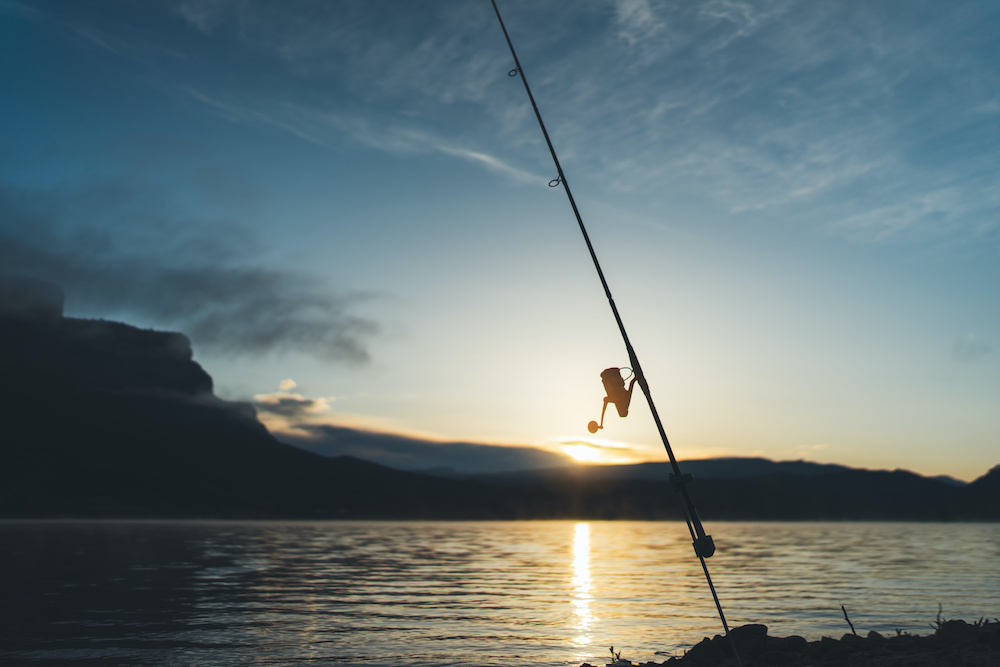 fishery concept, outline fishing rod at sunrise sunlight